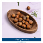 بشقاب گردو